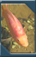 No new posts